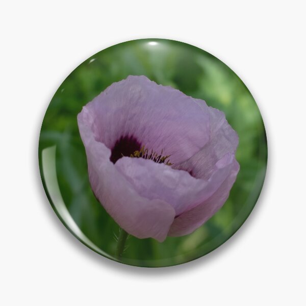 Item preview, Poppy designed and sold by PariSeine.
