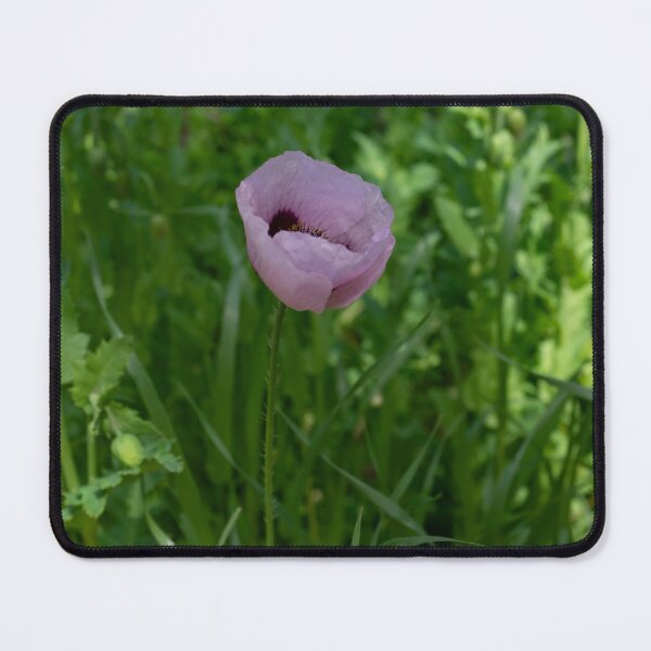 Item preview, Poppy designed and sold by PariSeine.