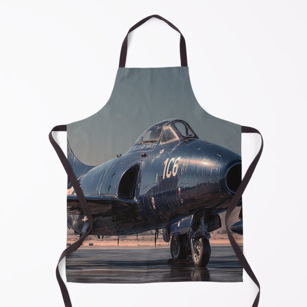 Item preview, Grummans Jet Pioneer designed and sold by Skyframe Aviation.