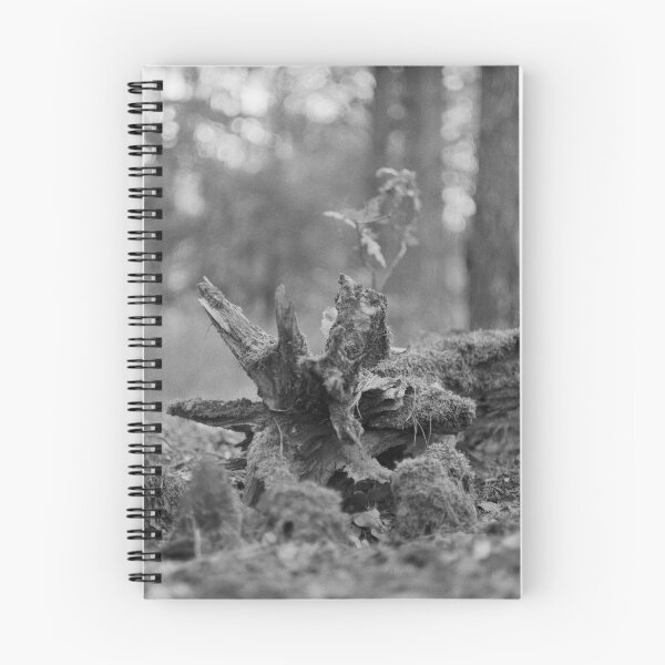 Item preview, hidden treasure designed and sold by 5letters.