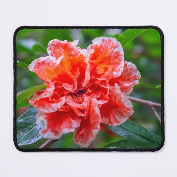 Item preview, Pomegranate flower designed and sold by PariSeine.