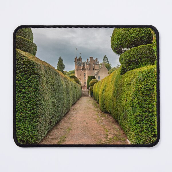Item preview, Crathes Castle Through the Topiary Corridor designed and sold by David Patterson.