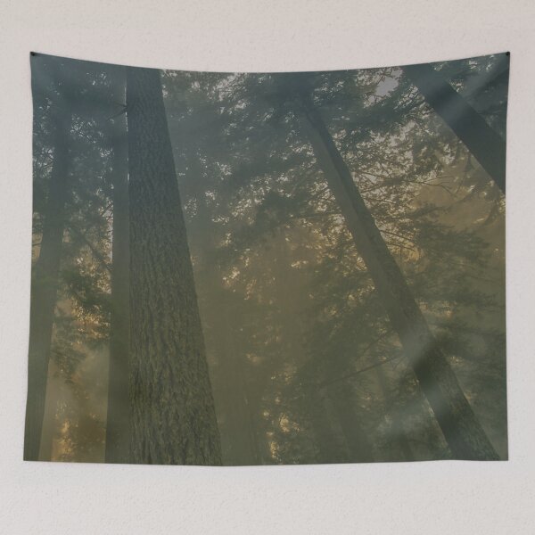 Item preview, Mysterious gloomy forest designed and sold by AndroidZ.