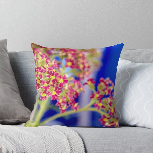 Item preview, Red Achillea designed and sold by sarahfmorris.