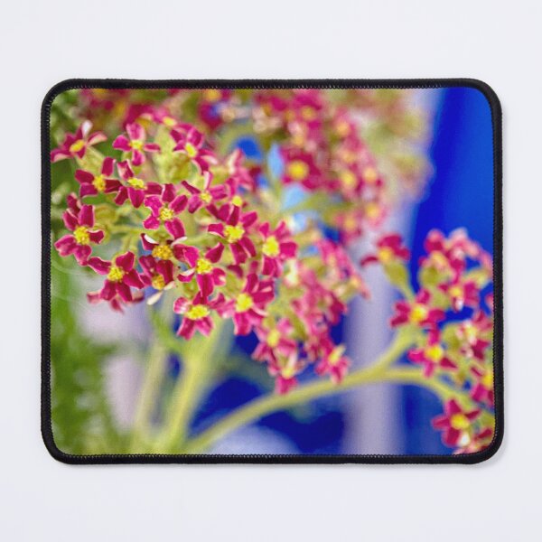 Item preview, Red Achillea designed and sold by sarahfmorris.