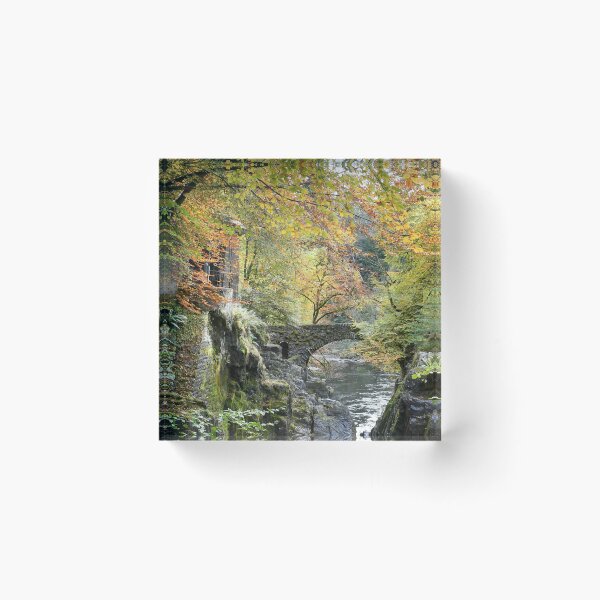Item preview, Autumn Colours at the Hermitage Dunkeld,Scotland designed and sold by jimmys.