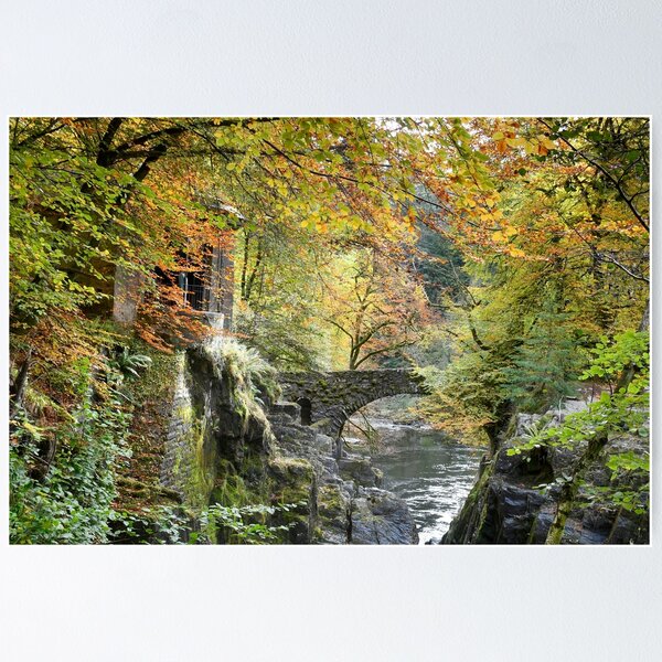 Item preview, Autumn Colours at the Hermitage Dunkeld,Scotland designed and sold by jimmys.