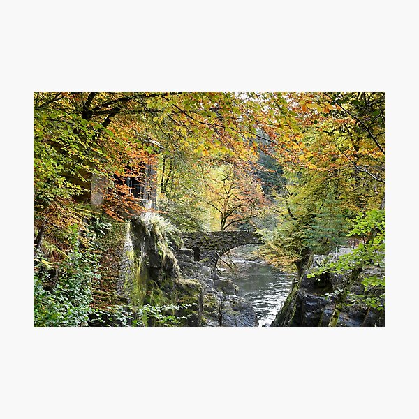 Item preview, Autumn Colours at the Hermitage Dunkeld,Scotland designed and sold by jimmys.
