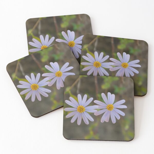 Item preview, Skyblue aster designed and sold by PariSeine.