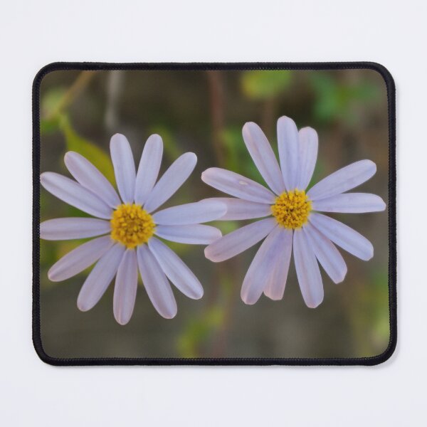 Item preview, Skyblue aster designed and sold by PariSeine.