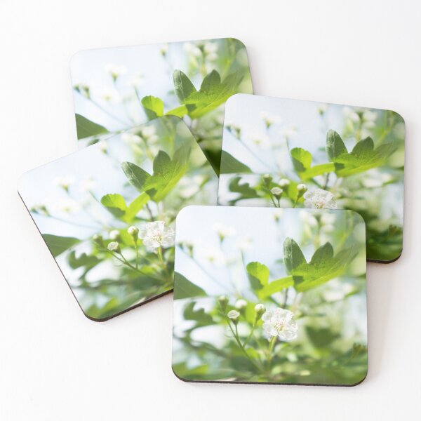Item preview, Hawthorn designed and sold by PariSeine.