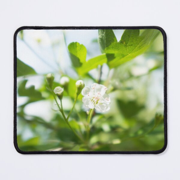 Item preview, Hawthorn designed and sold by PariSeine.