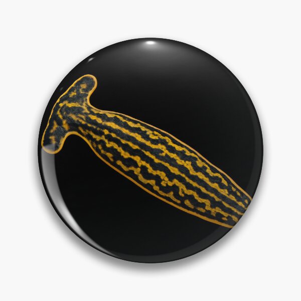 Item preview, Flatworm. designed and sold by moths-minor.