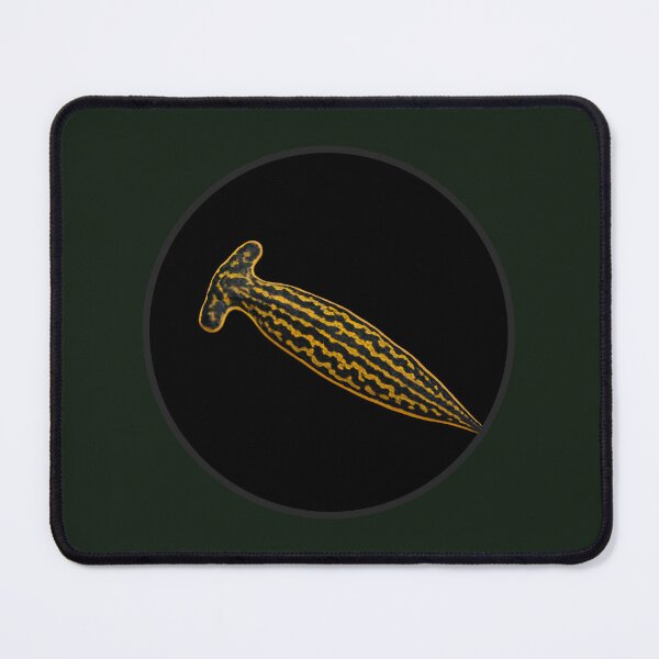 Item preview, Flatworm. designed and sold by moths-minor.