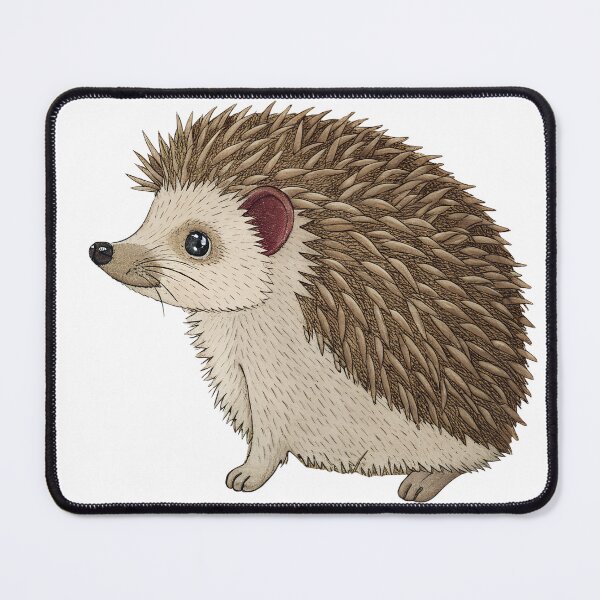 Item preview, Adorable hedgehog illustration with detailed quills, perfect for children's books, nature guides, or educational resources, a charming woodland animal clip art designed and sold by mobiza1000.
