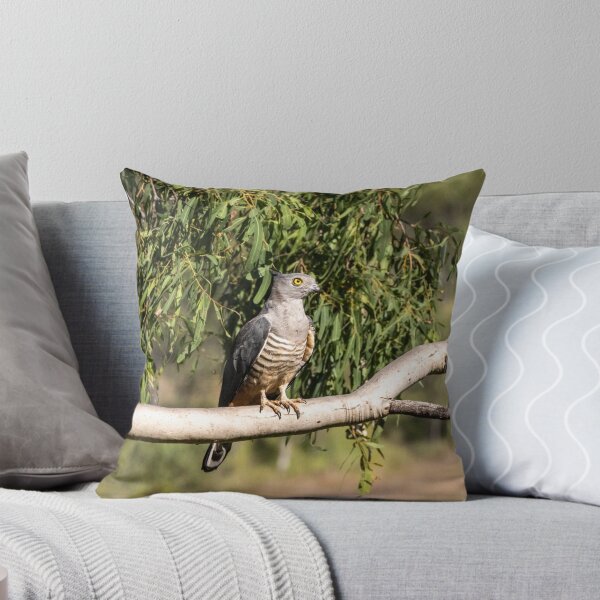Item preview, Pacific Baza designed and sold by AMBPIXELS.