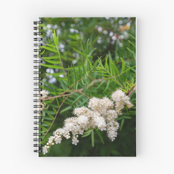Item preview, False spirea designed and sold by PariSeine.