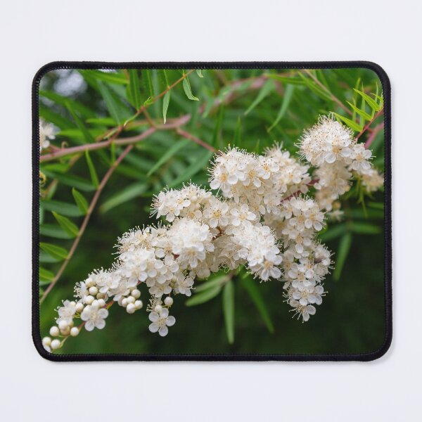 Item preview, False spirea designed and sold by PariSeine.