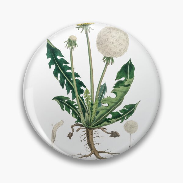 Item preview, Dandelion herbarium collection designed and sold by Mr-Plantastic.