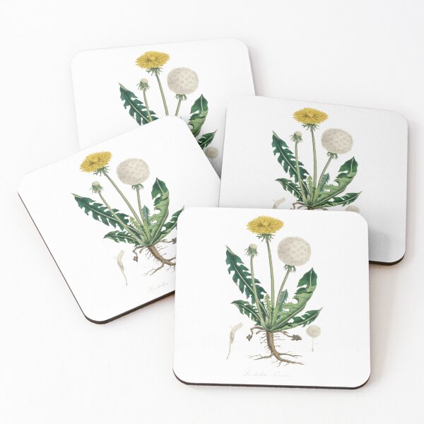Item preview, Dandelion herbarium collection designed and sold by Mr-Plantastic.