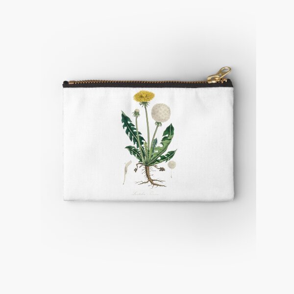 Item preview, Dandelion herbarium collection designed and sold by Mr-Plantastic.