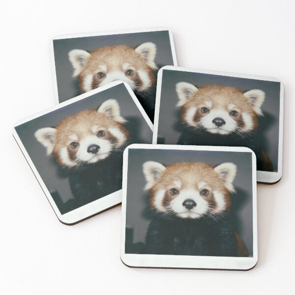 Item preview, Red Panda Gaze designed and sold by ZOMILA.
