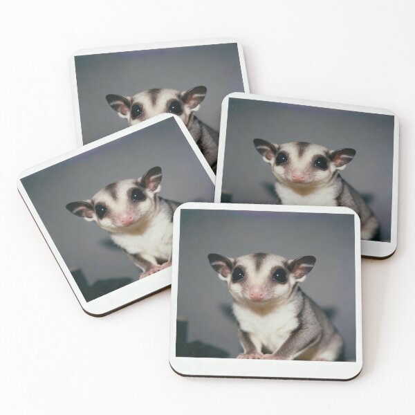 Item preview, Sugar Glider Charm designed and sold by ZOMILA.
