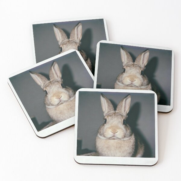 Item preview, Bunny in the Spotlight designed and sold by ZOMILA.