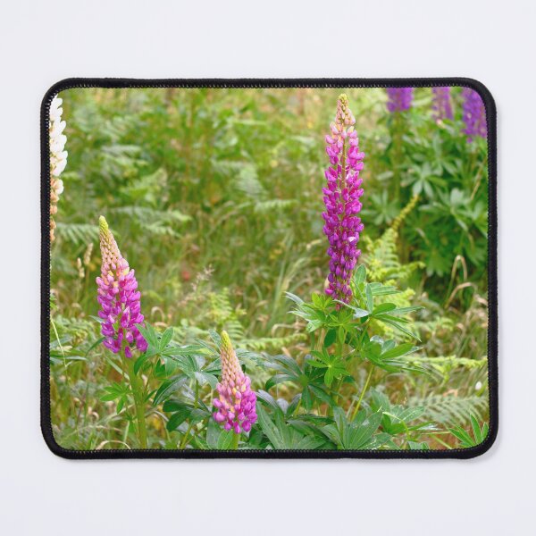 Item preview, Lupin's in St Peters designed and sold by dagabhriel.