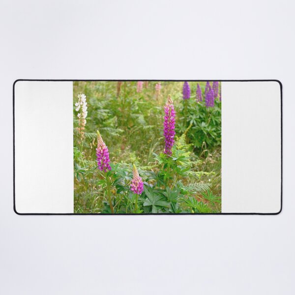 Item preview, Lupin's in St Peters designed and sold by dagabhriel.