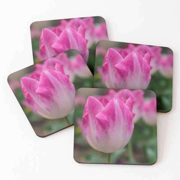 Item preview, Pink tulip designed and sold by PariSeine.