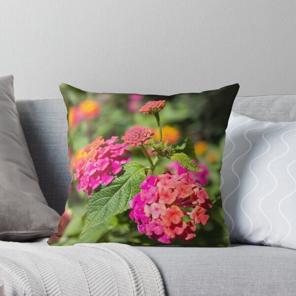 Item preview, Clusters of common lantana designed and sold by PariSeine.