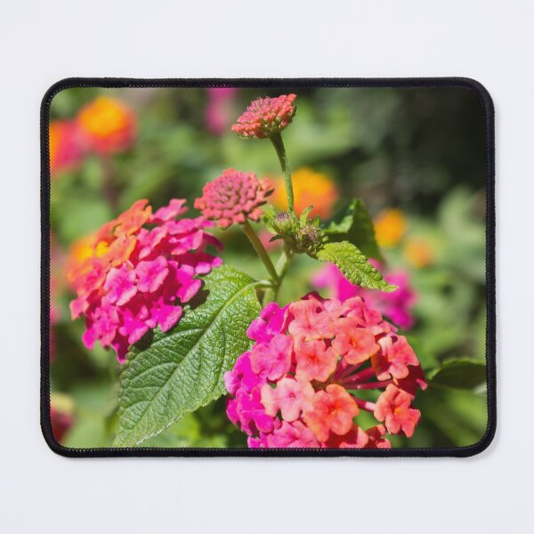 Item preview, Clusters of common lantana designed and sold by PariSeine.