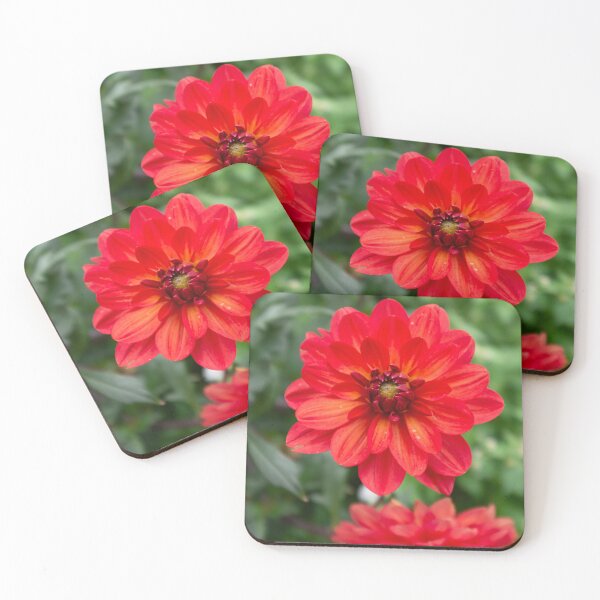 Item preview, Fiery dahlia designed and sold by PariSeine.