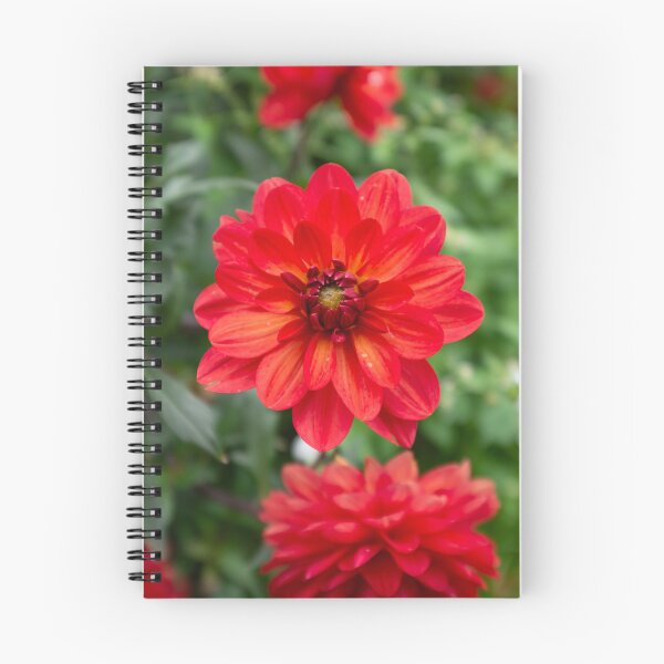 Item preview, Fiery dahlia designed and sold by PariSeine.