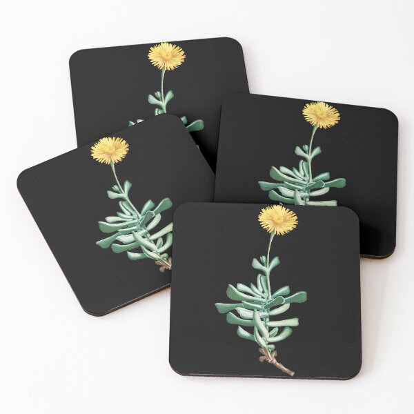 Item preview, Mesembryanthemum Dolabriforme Succulent designed and sold by AngyDesigns49.