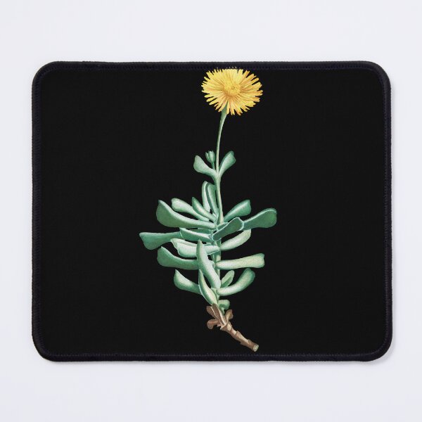 Item preview, Mesembryanthemum Dolabriforme Succulent designed and sold by AngyDesigns49.