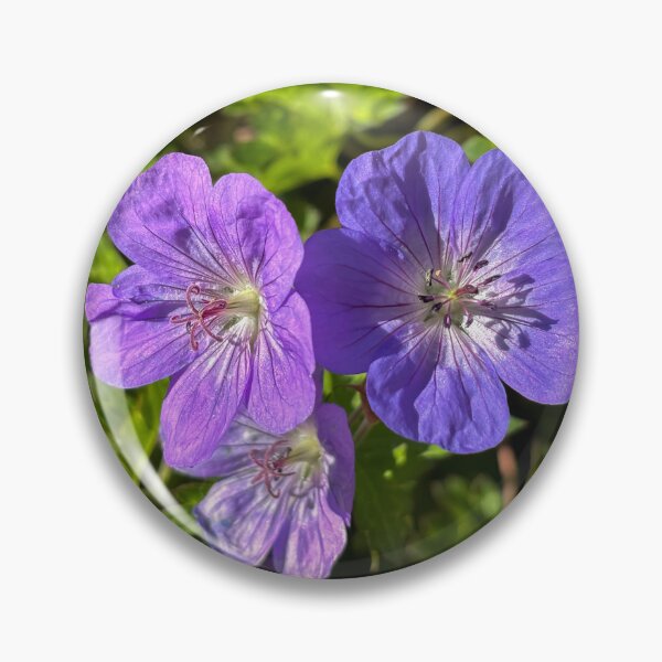 Item preview, Glandular crane's bill designed and sold by PariSeine.