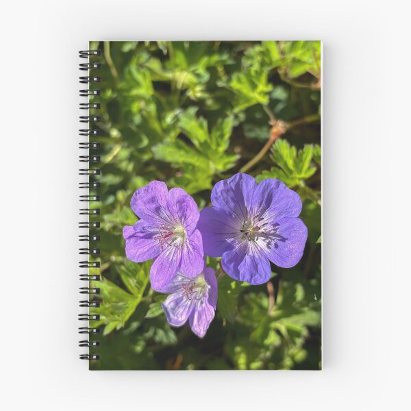 Item preview, Glandular crane's bill designed and sold by PariSeine.