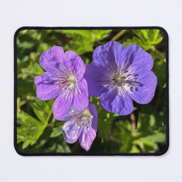 Item preview, Glandular crane's bill designed and sold by PariSeine.