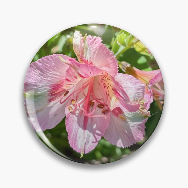 Item preview, Inca lily designed and sold by PariSeine.