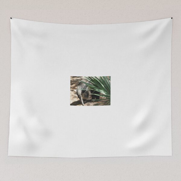 Item preview, Anteaters Are Cool designed and sold by Katy Wuerker.