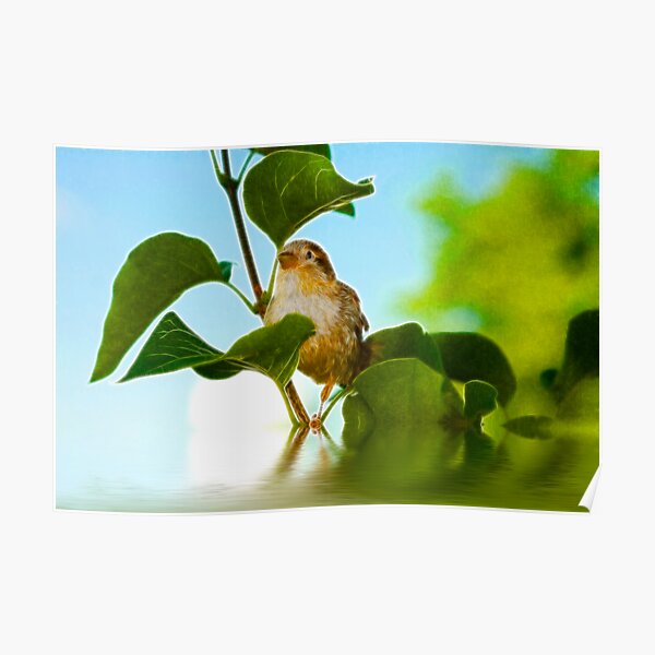 Visitor At My Window Poster