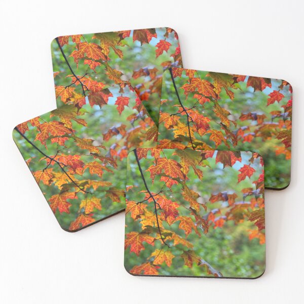 Item preview, Fall Leaves Have Arrived  designed and sold by SnapshotsByAB.
