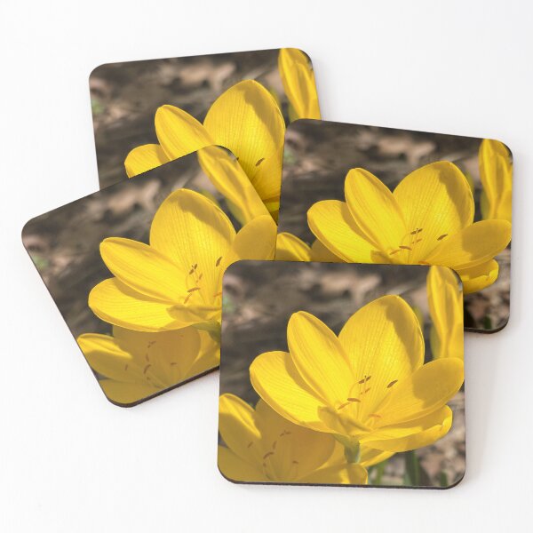 Item preview, Autumn daffodil designed and sold by PariSeine.