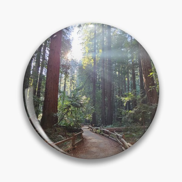 Item preview, TTrees in the mist in Muir Woods designed and sold by Moonwater.