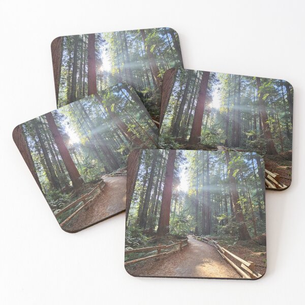 Item preview, TTrees in the mist in Muir Woods designed and sold by Moonwater.