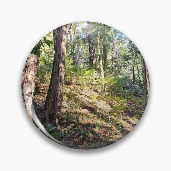 Item preview, Dappled light in the trees in Muir Woods designed and sold by Moonwater.