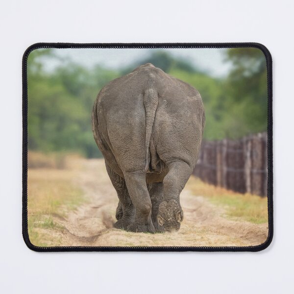 Item preview, Cute Rhino Butt 2 designed and sold by PhotoArt by Joan Carroll.