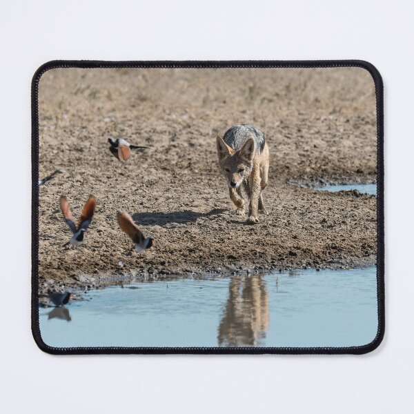 Item preview, The Waterhole Rule – Jackal on the Edge designed and sold by DavideAntoniani.
